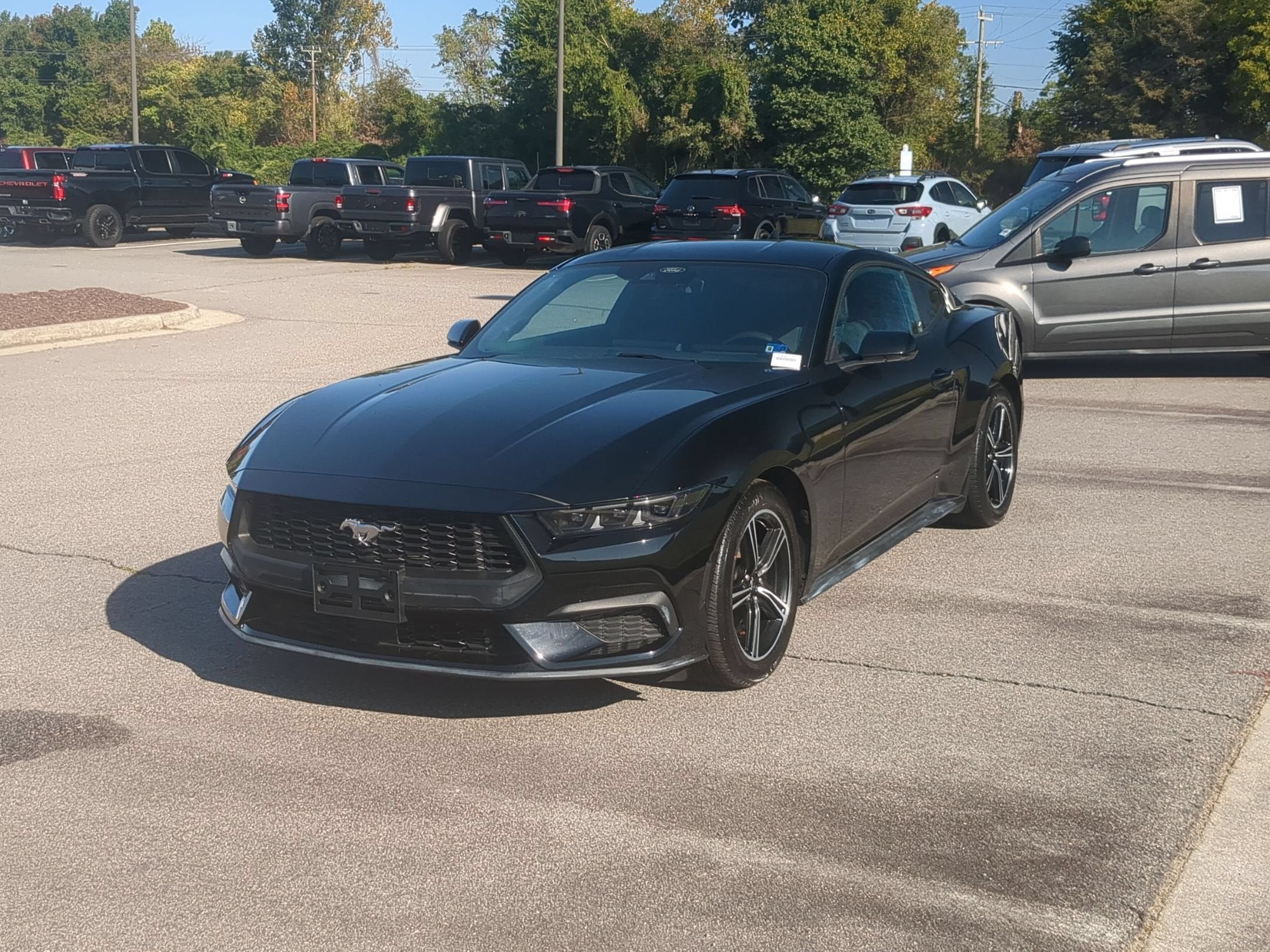 2025 Ford Mustang EcoBoost