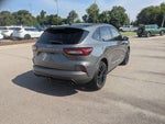 2024 Ford Escape ST-Line Elite