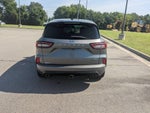 2024 Ford Escape ST-Line Elite